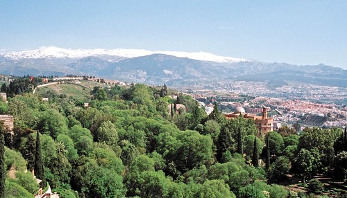 spain palace seville treetops alhambra