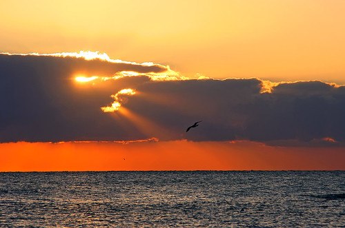 sunrise canon alba seagull rays tamron 18200 gabbiano raggi 1000d bestofmywinners