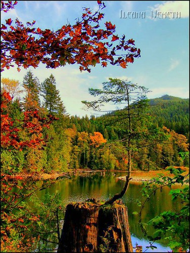 autumn lake canada color fall water landscape bc britishcolumbia autumncolors hdr arianwen haywardlake