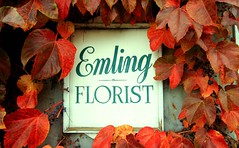 Emling Florist & Ivy