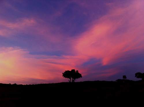 africa pink blue sunset kenya masaimara iphone4