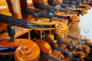 Violin Necks in Formation
