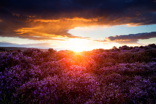 light sunset evening bradford heather yorkshire leeds moor craven ilkley dales 2010 skipton otley jasontheaker