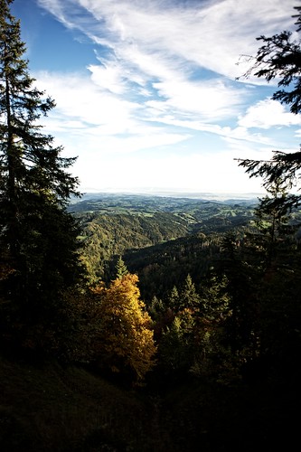 morning autumn schweiz switzerland hike filter nik emmental bleachbypass napf