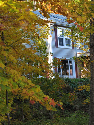 autumn trees fall colors river maple colours quebec cottage rivière evergreens birch deciduous mauricie spruce 2010 batiscan