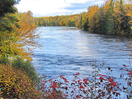 autumn trees colors river maple colours quebec rivière mauricie 2010 batiscan