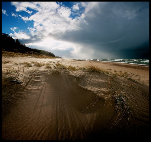 shadow storm beach grass rain clouds sand lakemichigan 5d ng wildflower indianadunes marram dunesstatepark