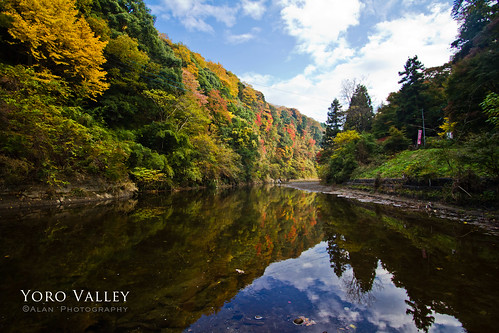 autumn fall japan canon eos chiba valley 7d 2010 yoro mywinners platinumphoto flickrdiamond