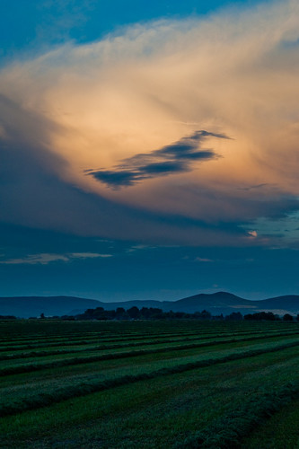 sunset sky cloud field oregon farm roadtrip crop ttt teardroptrailertour