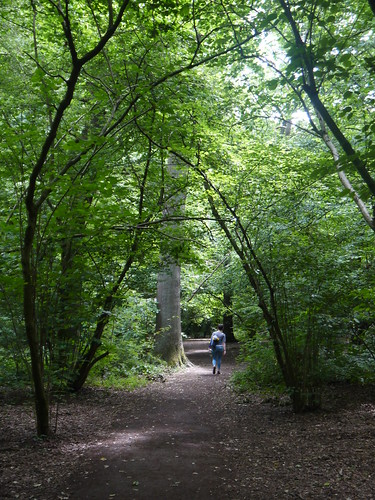 Hampstead Big Wood