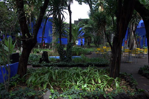 blue house azul museum garden mexico casa df artist frida museo coyoacan paiter khalo