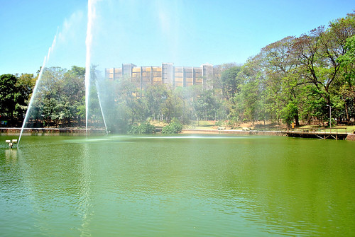 verde água brasil lago dos bosque fonte goiânia goiás cidades brasileiras buritis