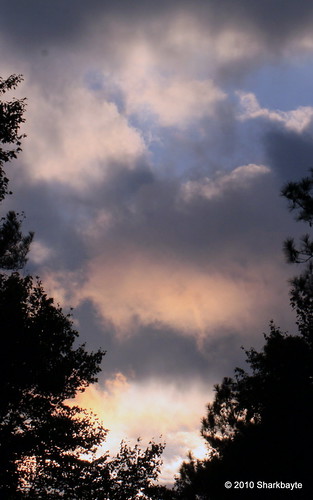 trees sunset sky nature clouds canon flora day293 chapelhillnc primelens canon50d orangecountync fall2010 inourprime ef100mmf28lisusmmacro