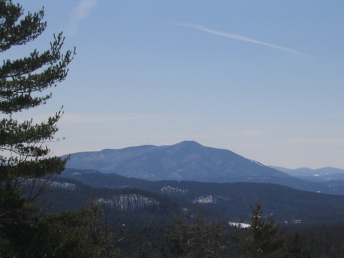 winter mountain snow forest woods view vista