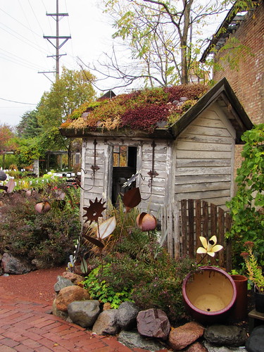 autumn fall garden shed sycamore outhouse blumengardens
