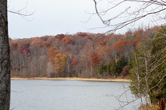 Last of fall color at Crockett Park