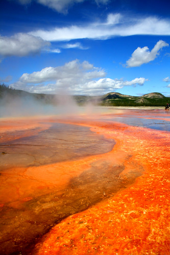 wild hot color nature beauty spring steam yellowstonenationalpark yellowstone wyoming volcanic boiling prismatic