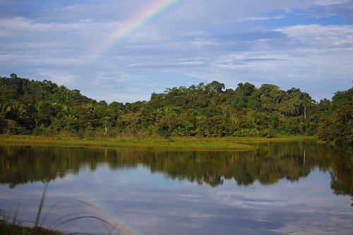 park parque forest canal national jungle panama nacional zone soberanía peaceonearthorg