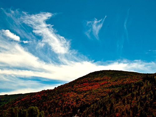 autumn trees sky clouds upperprovoriver soapstonebasin uintamountainrange