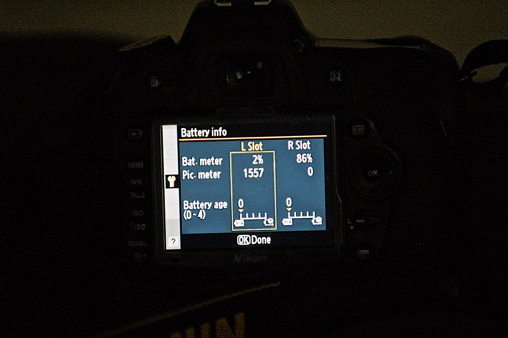 Nikon D90 over 1500 shots on 1 battery