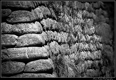 WW2 woodman point ammunition dump