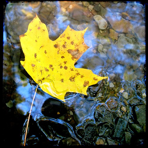 park autumn columbus ohio yellow creek leaf metro highbanks