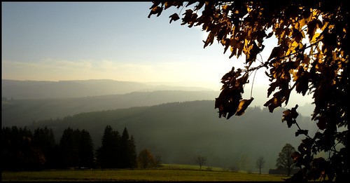 autumn tree day view herbst hills berge clear aussicht schwarzwald blackforest baum saig