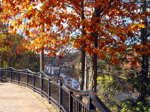 autumn trees fall nature water leaves wisconsin fence river landscape downtown harvest scenic fallfoliage foliage railing wi wisconsindells riverwalk dells wisconsinriver riverdistrict metalrailing downtownwisconsindells downtowndells dellsriverwalk wisconsindellsriverwalk