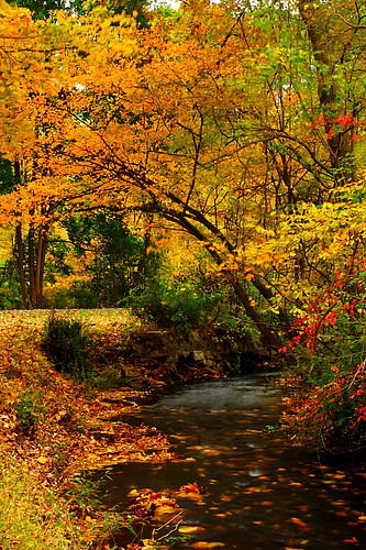 autumn canon landscape 50mm newjersey nj parks sigma 400d natirar