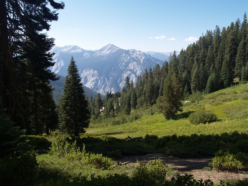 The upper reaches of Upper Tent Meadow.