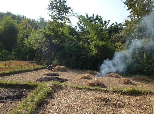 FAP workshop fieldtrip - burning off the rice straw