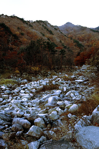 El otoño me volvió paisajista II