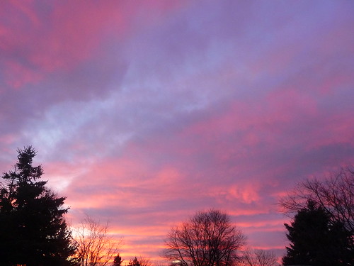 pink november autumn trees sky west fall colors clouds sunrise dawn belmont michigan horizon clear