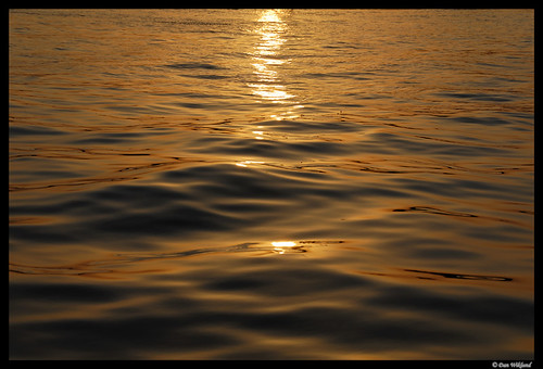 sunset orange water river gold waves egypt nile d200 luxor 2008