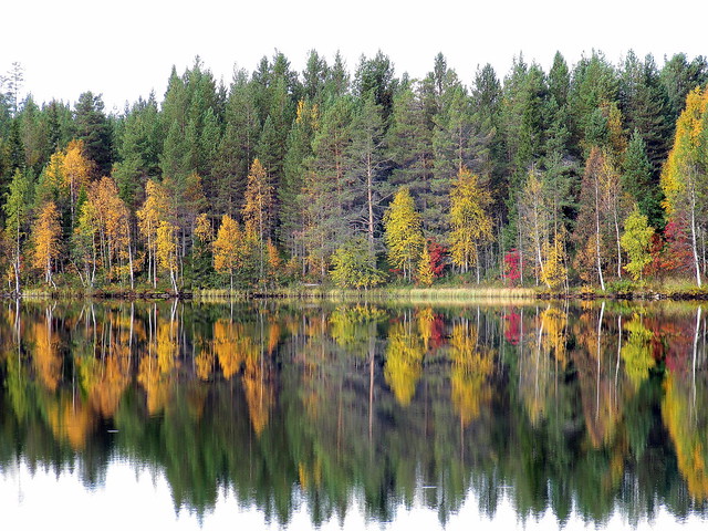 Autumn in Finland