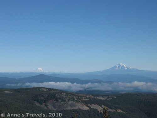 Mt. Rainier and Mt. Adams from the Timberline Trail near the Vista Ridge Trail, Mt. Hood National Forest, Oregon