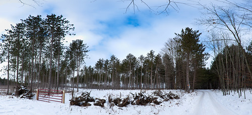 road travel blue trees winter sky panorama plants usa snow green nature colors field weather forest walking iso100 woods december seasons unitedstates hiking path michigan events noflash evergreens northamerica 16mm backroad pinetrees hikes locations 2010 stanwood locale 1635mm canoneos1dsmarkii canadianlakes camera:make=canon exif:make=canon exif:iso_speed=100 geo:state=michigan activityaction apertureprioritymode objectsthings hasmetastyletag naturallocale selfrating4stars exif:focal_length=16mm 2010travel 160secatf11 geo:countrys=usa exif:lens=160350mm exif:model=canoneos1dsmarkii camera:model=canoneos1dsmarkii exif:aperture=ƒ11 subjectdistanceunknown december262010 100thavecanadianlakes kalamazoo121720101102010 geo:lon=85284287857144 geo:city=stanwood geo:lat=43553361571429 43°33121n85°17344w stanwoodmichiganusa