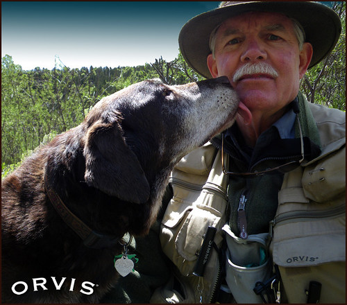 Orvis Cover Dog Contest - Molly