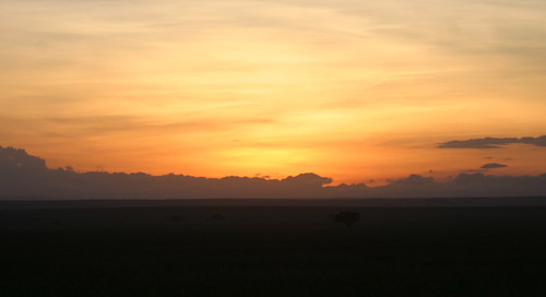 sunrise tanzania serengeti tz