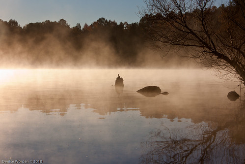 morning autumn light lake fall water fog sunrise canon golden nc northcarolina denise goldenhour jordanlake worden 450d deniseworden