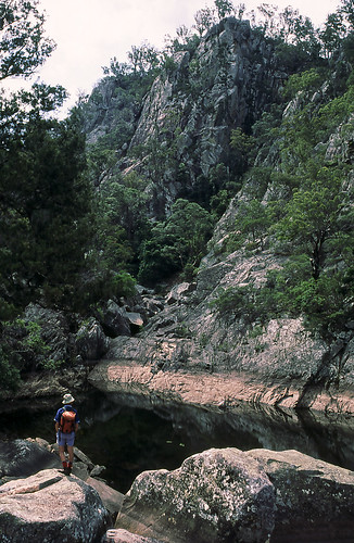 1992 scannedslide 35mmslidefilm australia queensland qld seqld crowsnestnationalpark darlingdowns scenicrim bushwalking hiking bushwalker bushwalk scbwc creek water rocks landscape