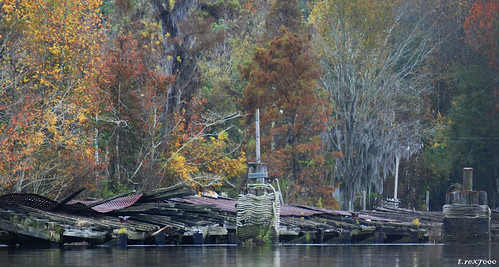 autumn abandoned mobile landscape pier alabama mobiletensawdelta trex7000