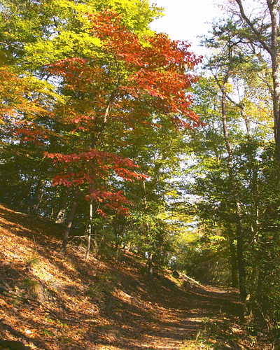 Hiking is popular year-round on our trails at York River State Park