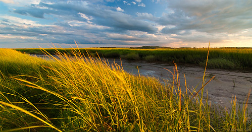 sunset summer panorama newengland grasses ncc2010picks