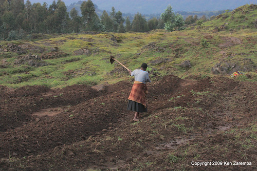 africa countrysidepeople geography musanzedistrict northernprovince parcnationaldevolcans rwanda volcanoesnationalpark carrying farming rurallife walking working