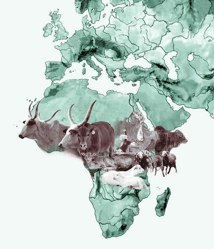 Livestock landscapes: Africa