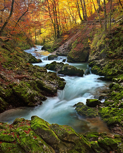 autumn trees forest river landscape october stream slovenia bled vintgargorge greatphotographers supershot rockpaper isobracketing