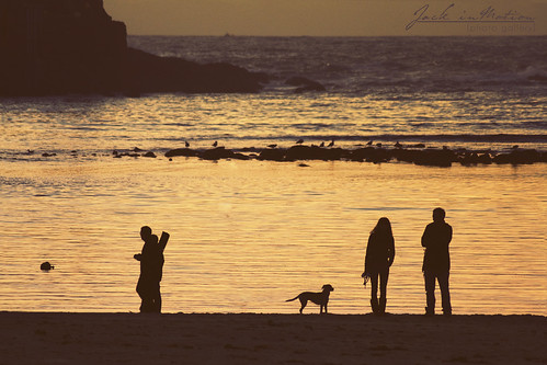 autumn sea dog fall beach sunshine sunrise atardecer mar coruña playa perro otoño silueta lacoruña