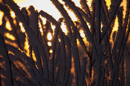 sunrise hoarfrost 18270mm
