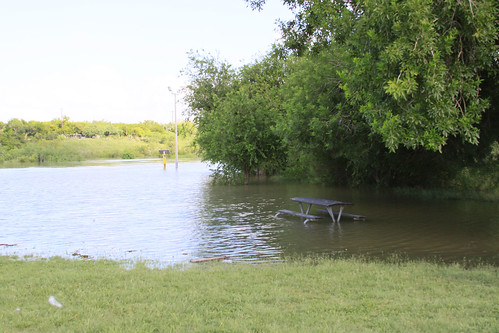 texas flood harlingen southtexas floodway rgv